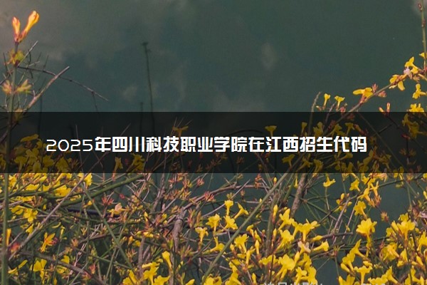 2025年四川科技职业学院在江西招生代码：6816 专业代码及报考指南