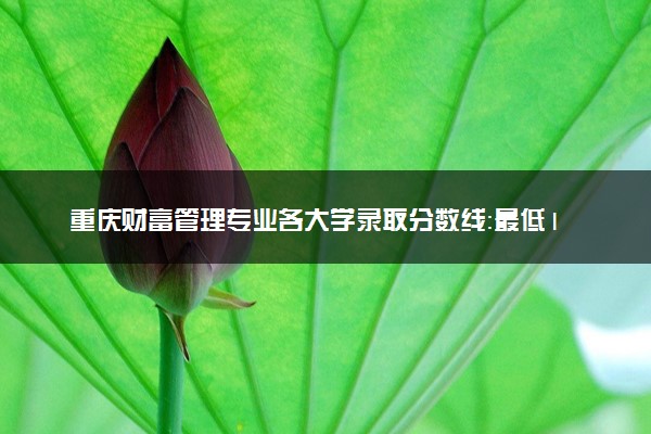重庆财富管理专业各大学录取分数线：最低180分能上 开设院校及位次