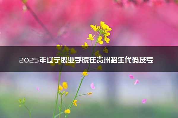 2025年辽宁职业学院在贵州招生代码及专业代码 辽宁职业学院贵州代码是多少？怎么查询？