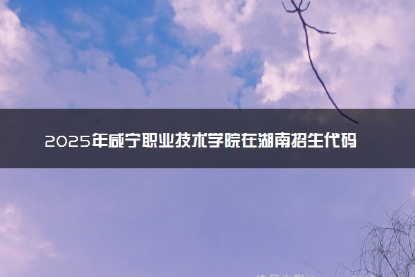 2025年咸宁职业技术学院在湖南招生代码：4271 专业代码及报考指南