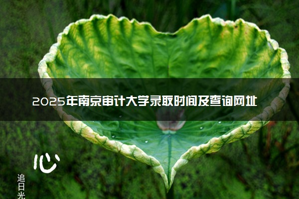 2025年南京审计大学录取时间及查询网址入口 录取结果什么时候公布