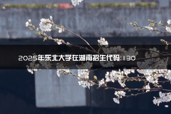 2025年东北大学在湖南招生代码：1307 专业代码及报考指南