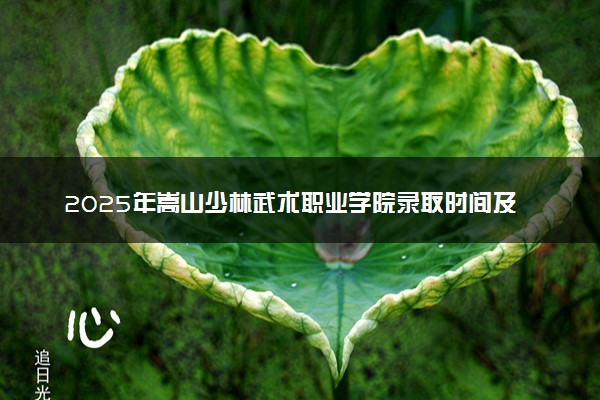 2025年嵩山少林武术职业学院录取时间及查询网址入口 录取结果什么时候公布
