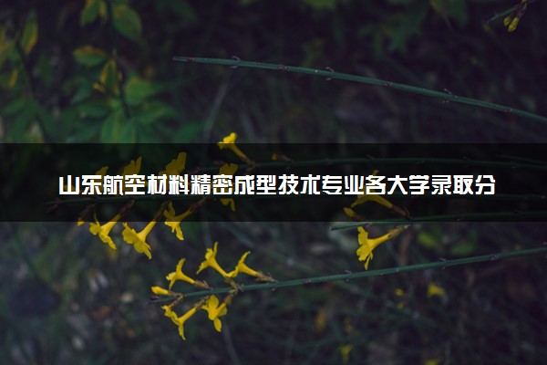 山东航空材料精密成型技术专业各大学录取分数线：最低401分能上 开设院校及位次