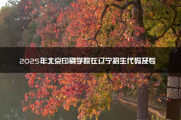 2025年北京印刷学院在辽宁招生代码及专业代码 北京印刷学院辽宁代码是多少？怎么查询？