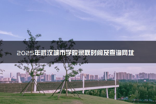 2025年武汉城市学院录取时间及查询网址入口 录取结果什么时候公布
