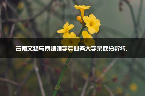 云南文物与博物馆学专业各大学录取分数线：最低491分能上 开设院校及位次