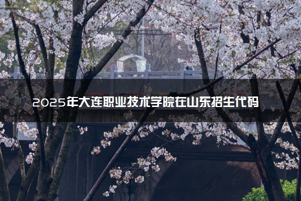 2025年大连职业技术学院在山东招生代码：A845 专业代码及报考指南