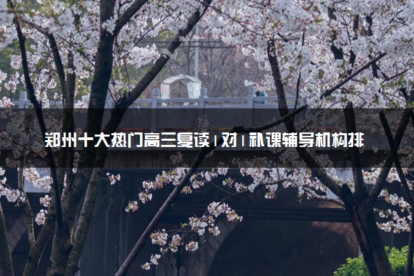 郑州十大热门高三复读1对1补课辅导机构排名汇总公布