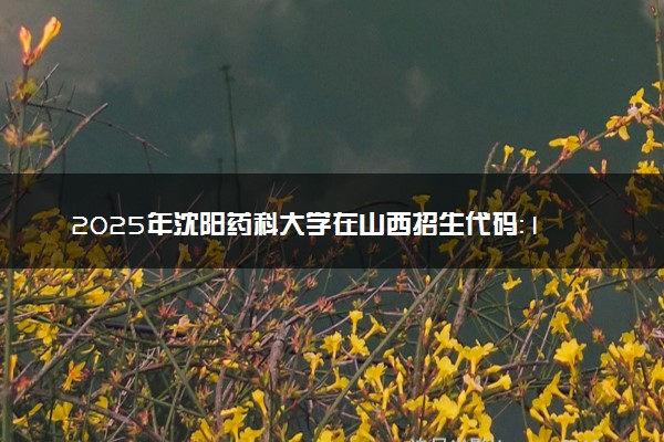 2025年沈阳药科大学在山西招生代码：1281 专业代码及报考指南