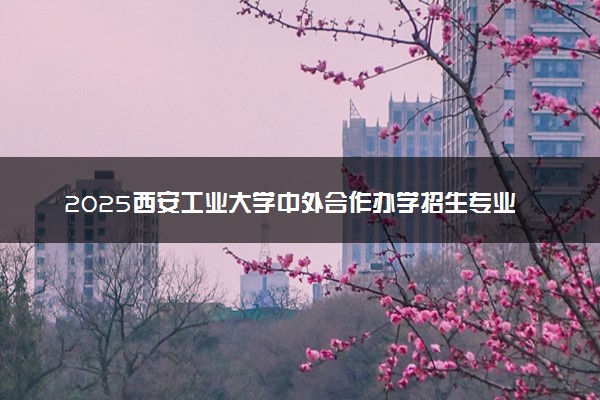2025西安工业大学中外合作办学招生专业及计划 学费多少钱