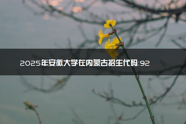 2025年安徽大学在内蒙古招生代码：920 专业代码及报考指南