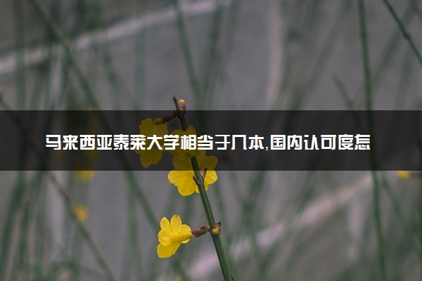 马来西亚泰莱大学相当于几本，国内认可度怎么样