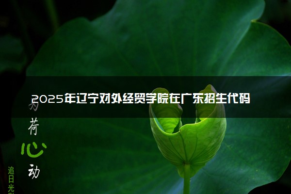 2025年辽宁对外经贸学院在广东招生代码及专业代码 辽宁对外经贸学院广东代码是多少？怎么查询？