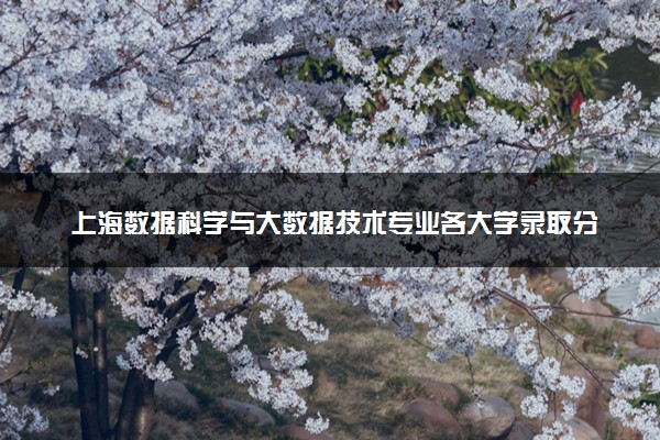 上海数据科学与大数据技术专业各大学录取分数线：最低409分能上 开设院校及位次