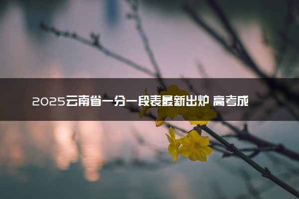 2025云南省一分一段表最新出炉 高考成绩分布表