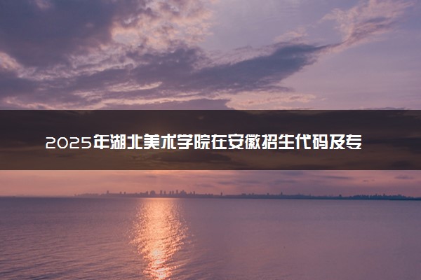 2025年湖北美术学院在安徽招生代码及专业代码 湖北美术学院安徽代码是多少？怎么查询？