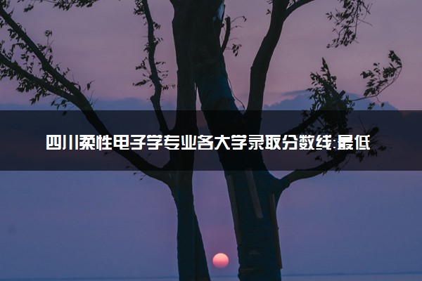 四川柔性电子学专业各大学录取分数线：最低585分能上 开设院校及位次