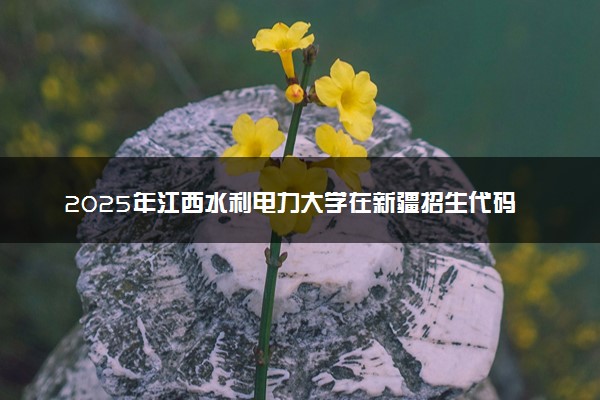 2025年江西水利电力大学在新疆招生代码及专业代码 江西水利电力大学新疆代码是多少？怎么查询？