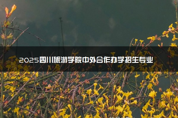 2025四川旅游学院中外合作办学招生专业及计划 学费多少钱