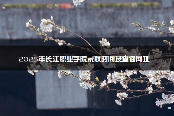 2025年长江职业学院录取时间及查询网址入口 录取结果什么时候公布