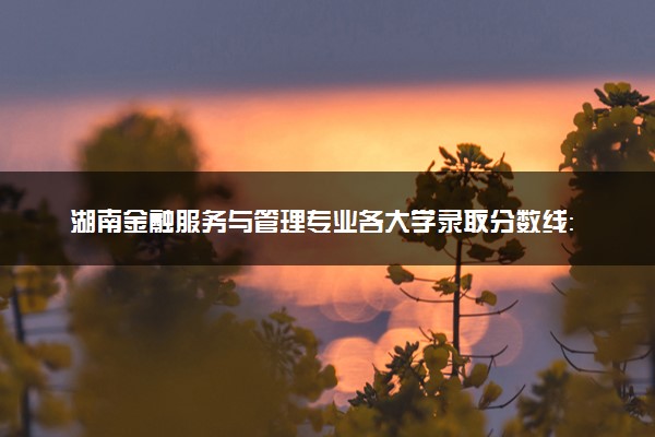 湖南金融服务与管理专业各大学录取分数线：最低200分能上 开设院校及位次