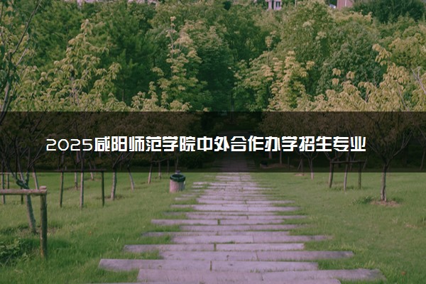 2025咸阳师范学院中外合作办学招生专业及计划 学费多少钱