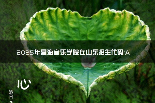2025年星海音乐学院在山东招生代码：A587 专业代码及报考指南