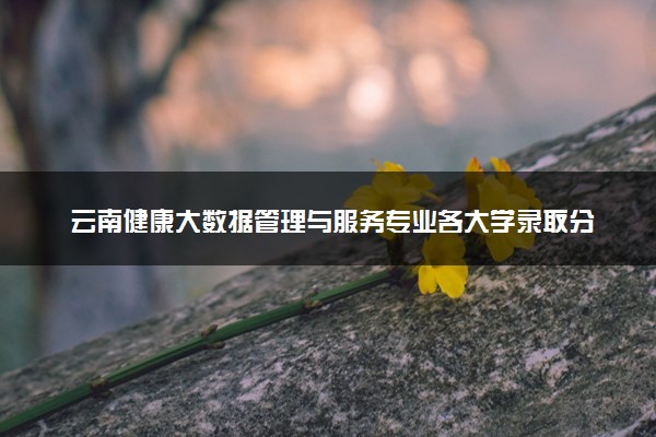 云南健康大数据管理与服务专业各大学录取分数线：最低273分能上 开设院校及位次