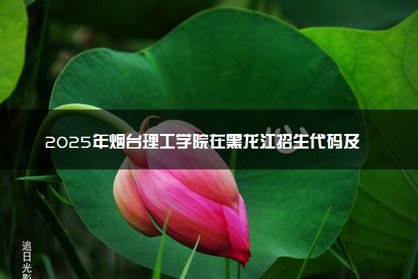 2025年烟台理工学院在黑龙江招生代码及专业代码 烟台理工学院黑龙江代码是多少？怎么查询？