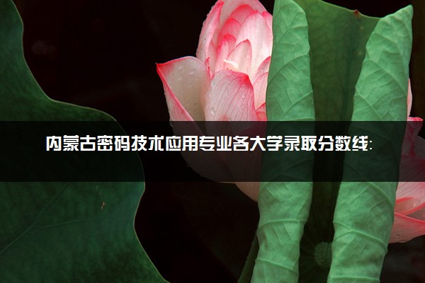 内蒙古密码技术应用专业各大学录取分数线：最低343分能上 开设院校及位次