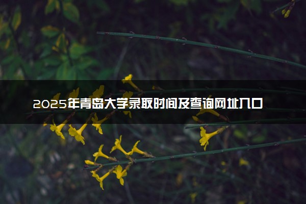 2025年青岛大学录取时间及查询网址入口 录取结果什么时候公布