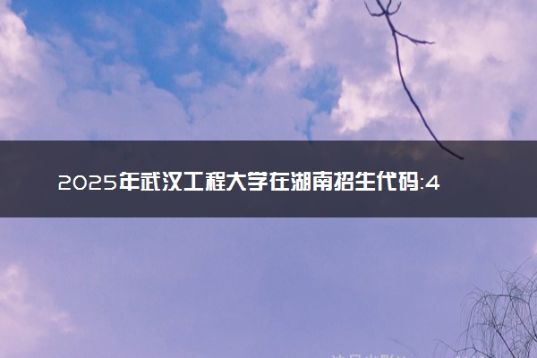 2025年武汉工程大学在湖南招生代码：4227 专业代码及报考指南