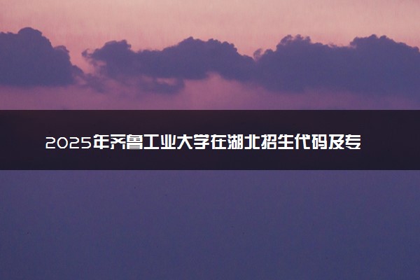 2025年齐鲁工业大学在湖北招生代码及专业代码 齐鲁工业大学湖北代码是多少？怎么查询？