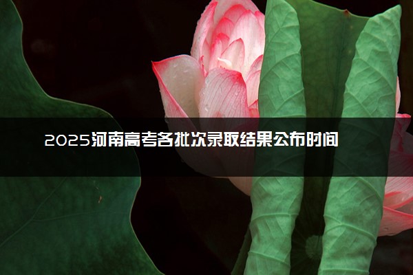 2025河南高考各批次录取结果公布时间 怎么知道被录取