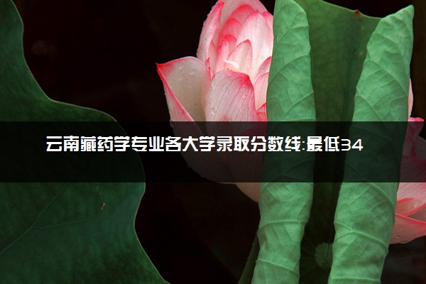 云南藏药学专业各大学录取分数线：最低346分能上 开设院校及位次