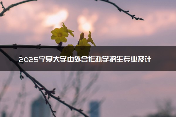 2025宁夏大学中外合作办学招生专业及计划 学费多少钱