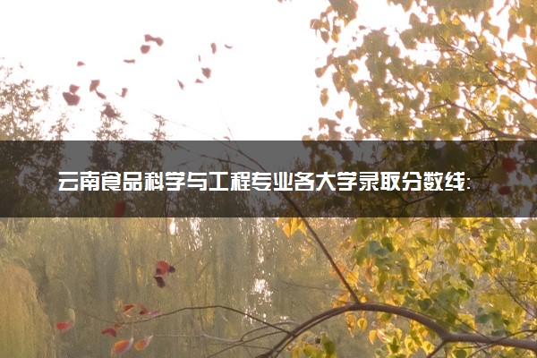 云南食品科学与工程专业各大学录取分数线：最低426分能上 开设院校及位次