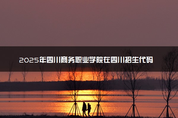 2025年四川商务职业学院在四川招生代码及专业代码 四川商务职业学院四川代码是多少？怎么查询？