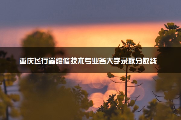 重庆飞行器维修技术专业各大学录取分数线：最低266分能上 开设院校及位次