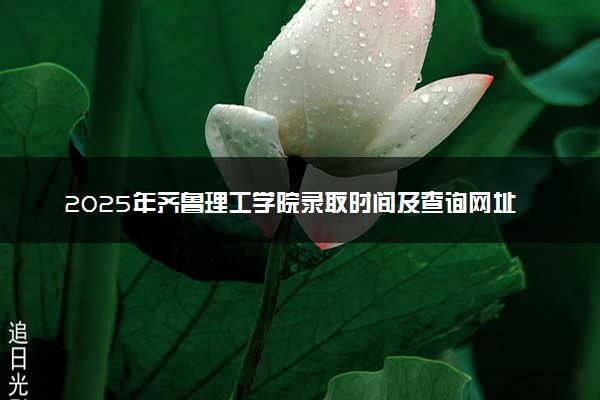 2025年齐鲁理工学院录取时间及查询网址入口 录取结果什么时候公布