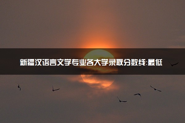 新疆汉语言文学专业各大学录取分数线：最低262分能上 开设院校及位次