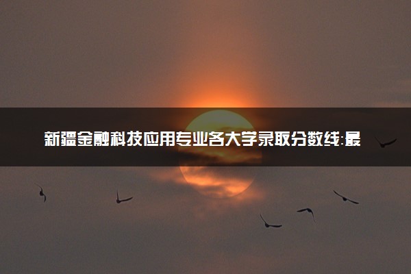 新疆金融科技应用专业各大学录取分数线：最低156分能上 开设院校及位次