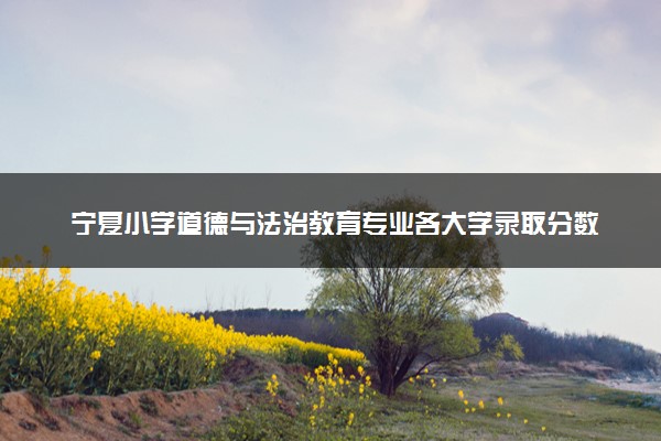 宁夏小学道德与法治教育专业各大学录取分数线：最低303分能上 开设院校及位次
