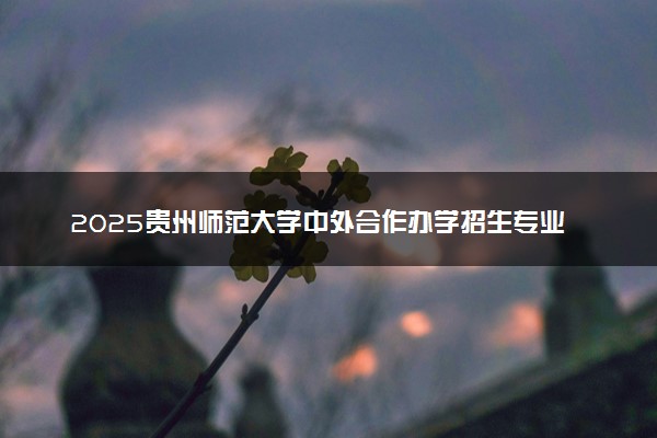 2025贵州师范大学中外合作办学招生专业及计划 学费多少钱