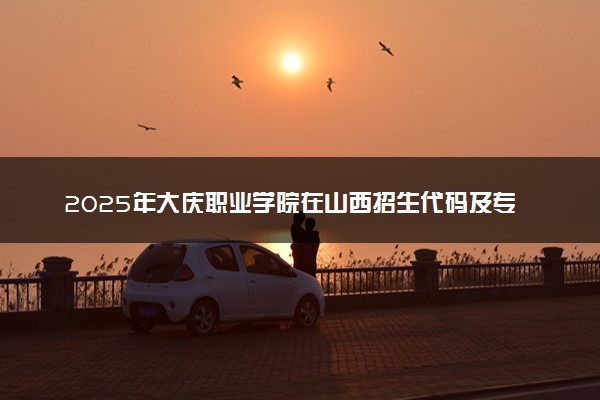 2025年大庆职业学院在山西招生代码及专业代码 大庆职业学院山西代码是多少？怎么查询？
