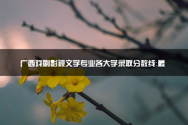 广西戏剧影视文学专业各大学录取分数线：最低378分能上 开设院校及位次