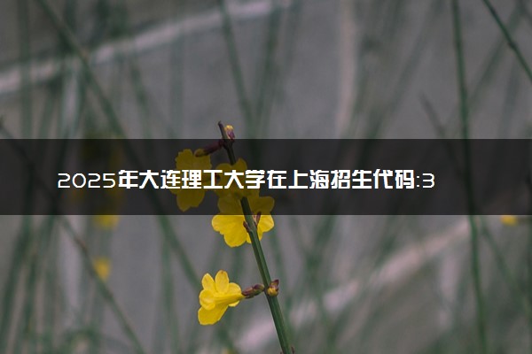 2025年大连理工大学在上海招生代码：333 专业代码及报考指南