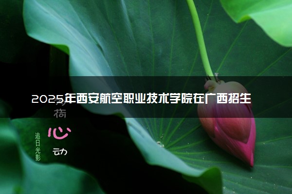 2025年西安航空职业技术学院在广西招生代码：12828 专业代码及报考指南