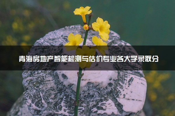 青海房地产智能检测与估价专业各大学录取分数线：最低244分能上 开设院校及位次